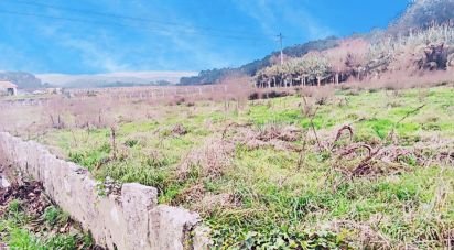 Terrain à Pinheiros de 3 066 m²