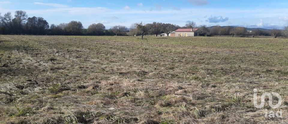 Terrain agricole à Três Povos de 18 090 m²