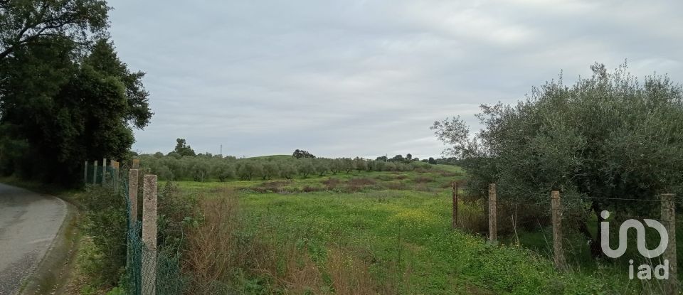 Terreno em Santarém (Marvila), Santa Iria Da Ribeira De Santarém, Santarém (São Salvador) E Santarém (São Nicolau) de 26 720 m²