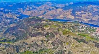 Ferme T0 à Barcos e Santa Leocádia de 290 000 m²
