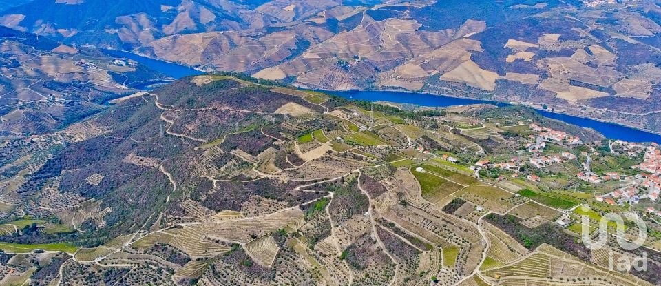 Ferme T0 à Barcos e Santa Leocádia de 290 000 m²