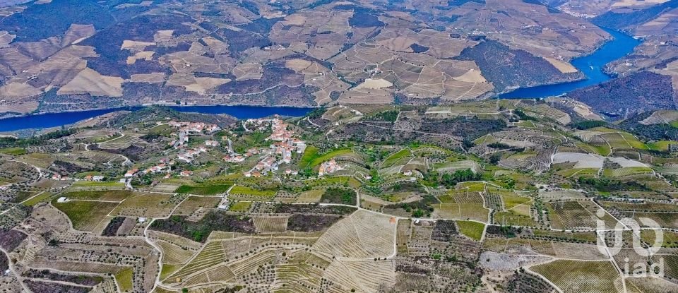 Ferme T0 à Barcos e Santa Leocádia de 290 000 m²