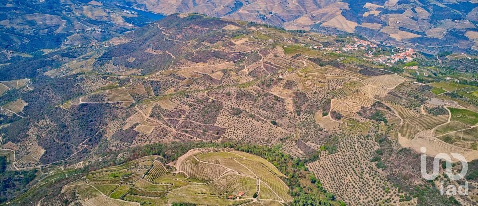 Ferme T0 à Barcos e Santa Leocádia de 290 000 m²