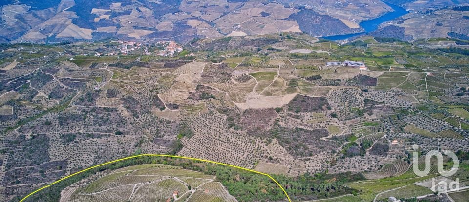 Ferme T0 à Barcos e Santa Leocádia de 290 000 m²