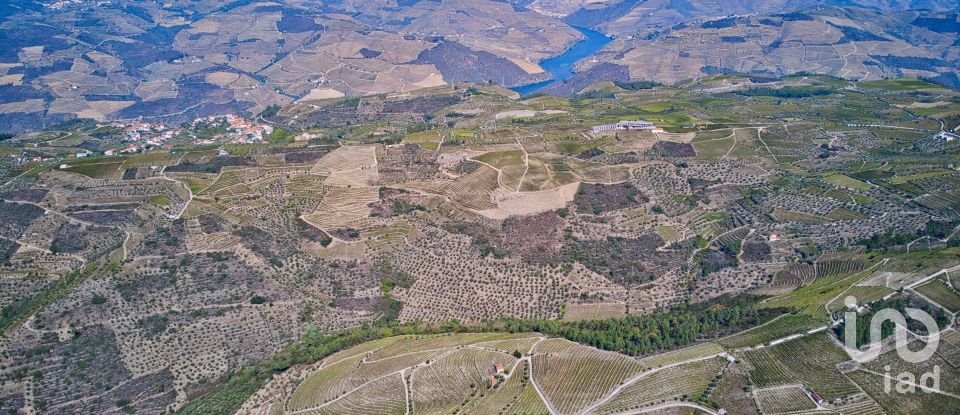 Ferme T0 à Barcos e Santa Leocádia de 290 000 m²