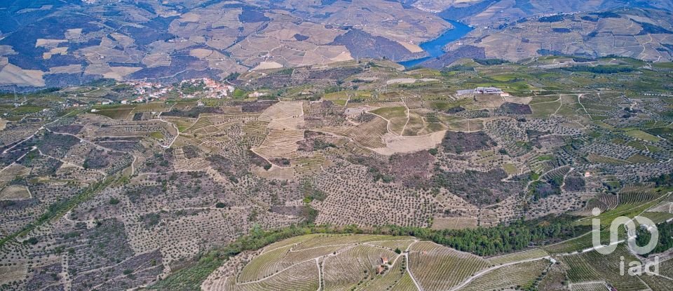 Ferme T0 à Barcos e Santa Leocádia de 290 000 m²