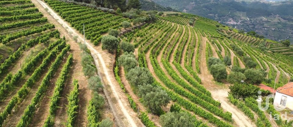 Ferme T0 à Barcos e Santa Leocádia de 290 000 m²