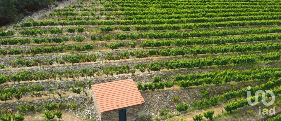 Ferme T0 à Barcos e Santa Leocádia de 290 000 m²