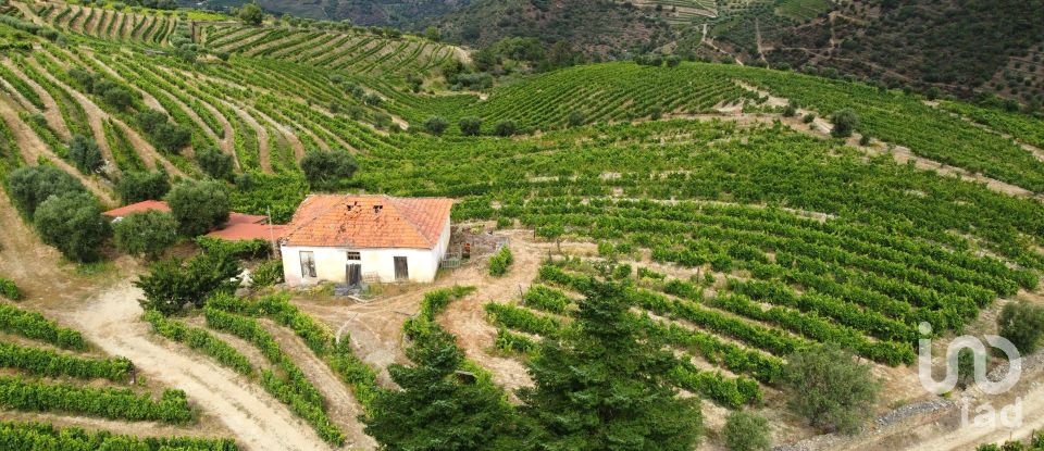 Ferme T0 à Barcos e Santa Leocádia de 290 000 m²