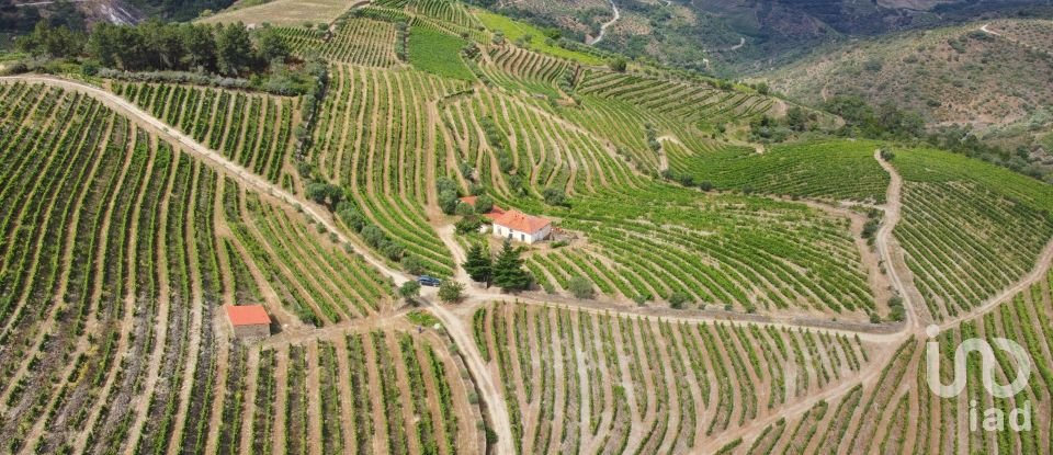 Ferme T0 à Barcos e Santa Leocádia de 290 000 m²