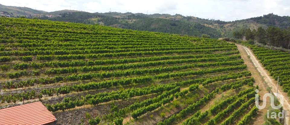 Ferme T0 à Barcos e Santa Leocádia de 290 000 m²
