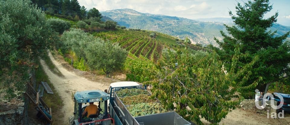 Ferme T0 à Barcos e Santa Leocádia de 290 000 m²