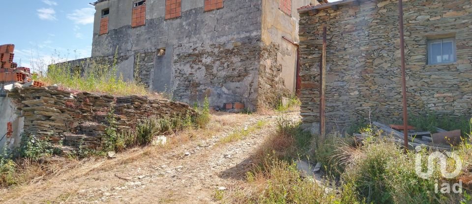 Ferme T0 à Barcos e Santa Leocádia de 290 000 m²