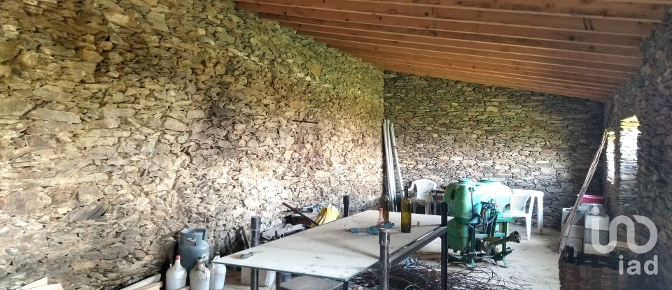 Ferme T0 à Barcos e Santa Leocádia de 290 000 m²