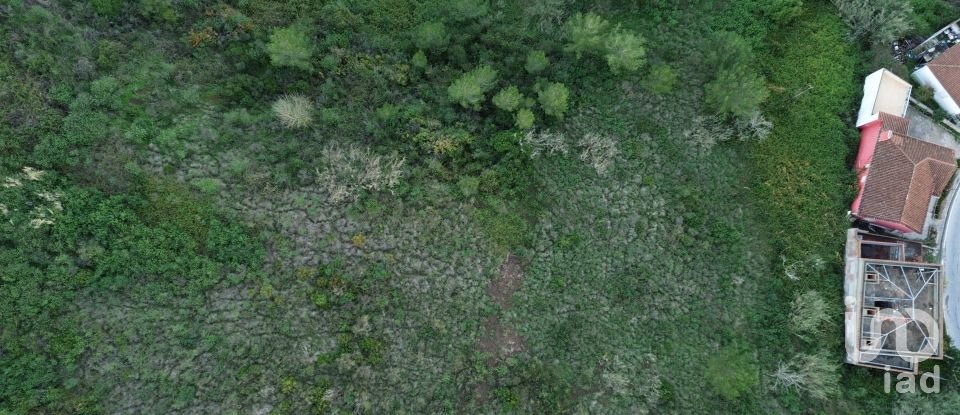 Land in Santa Maria, São Pedro E Matacães of 54,712 m²