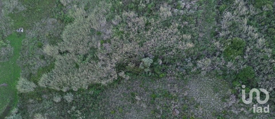 Land in Santa Maria, São Pedro E Matacães of 54,712 m²