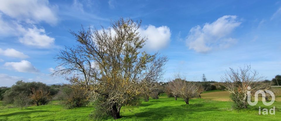 Farm T3 in Luz de Tavira e Santo Estêvão of 362 m²