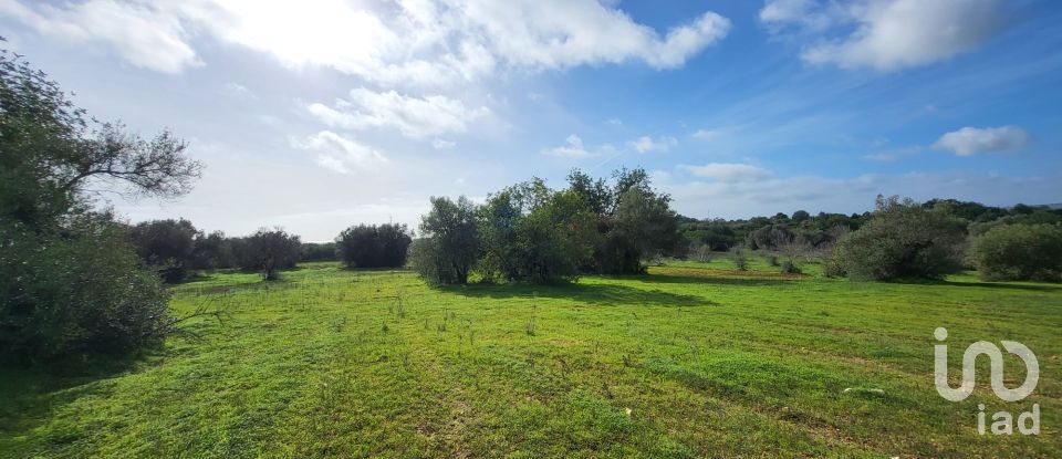 Farm T3 in Luz de Tavira e Santo Estêvão of 362 m²