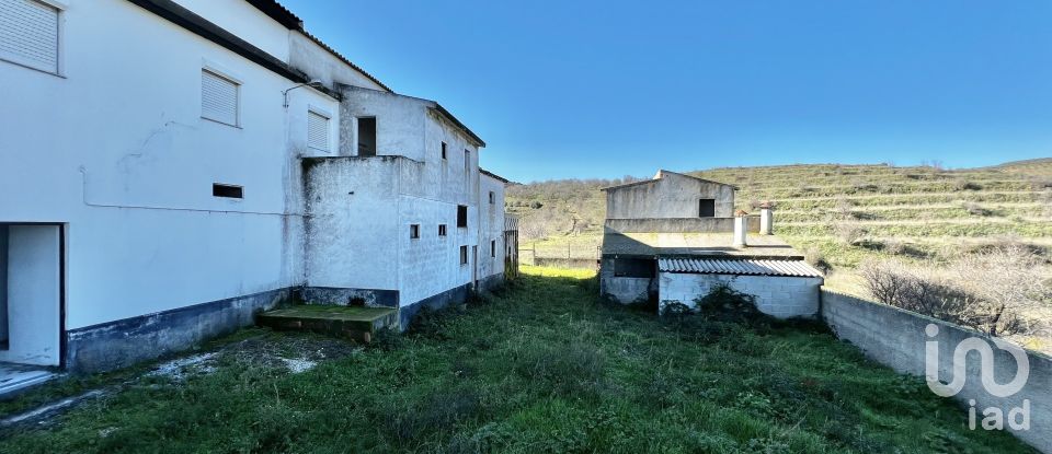 Farm T7 in Freixo de Numão of 1,116 m²