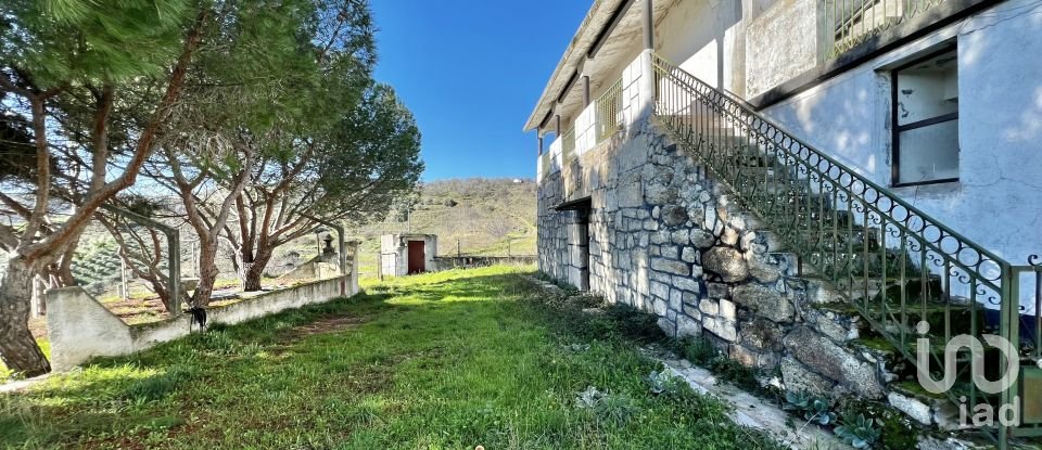 Farm T7 in Freixo de Numão of 1,116 m²