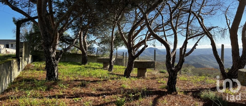 Farm T7 in Freixo de Numão of 1,116 m²