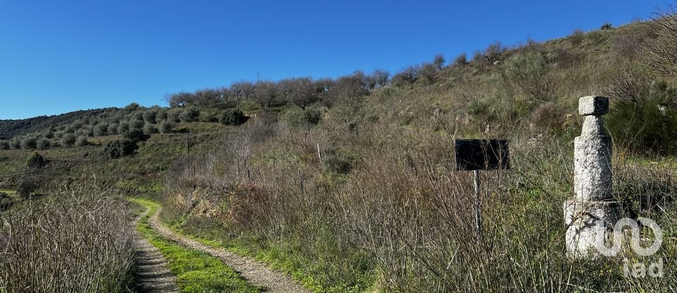 Farm T7 in Freixo de Numão of 1,116 m²