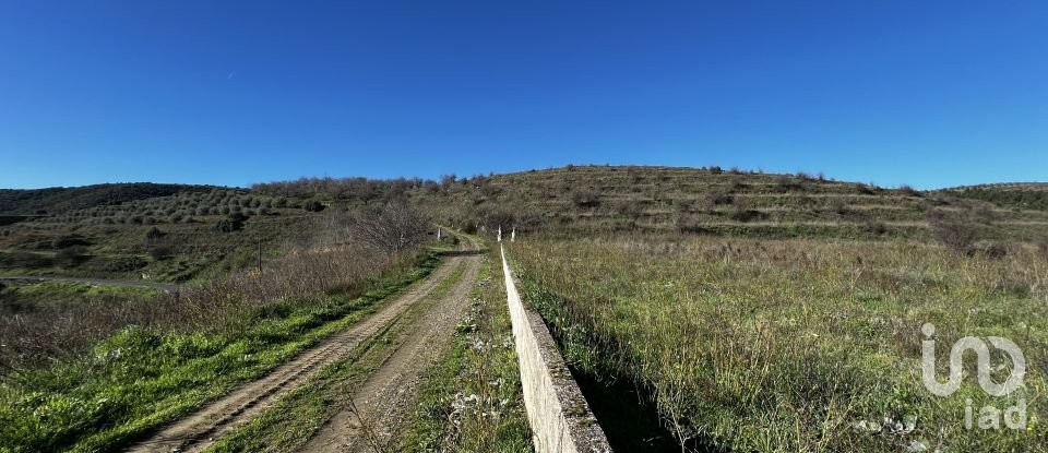 Farm T7 in Freixo de Numão of 1,116 m²