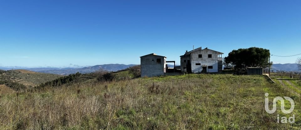 Farm T7 in Freixo de Numão of 1,116 m²