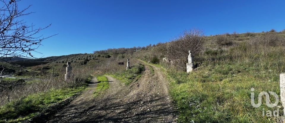 Farm T7 in Freixo de Numão of 1,116 m²