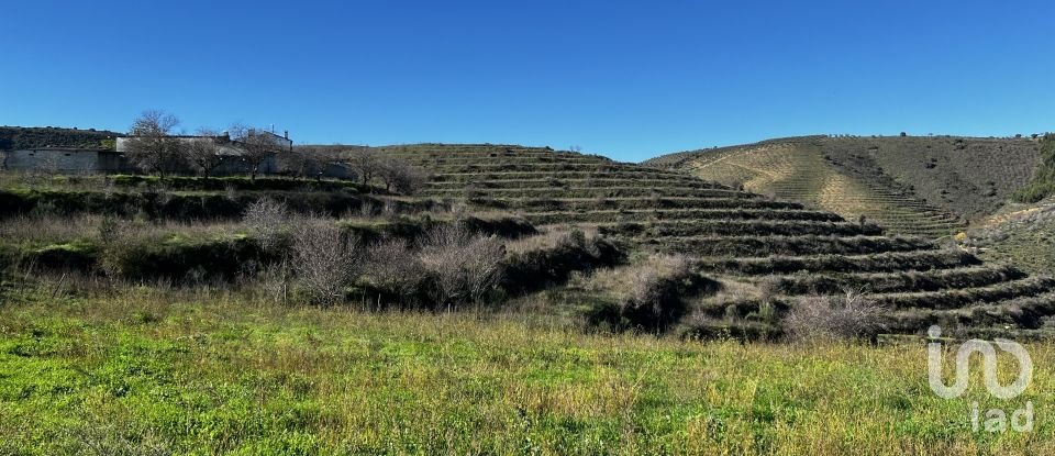 Farm T7 in Freixo de Numão of 1,116 m²