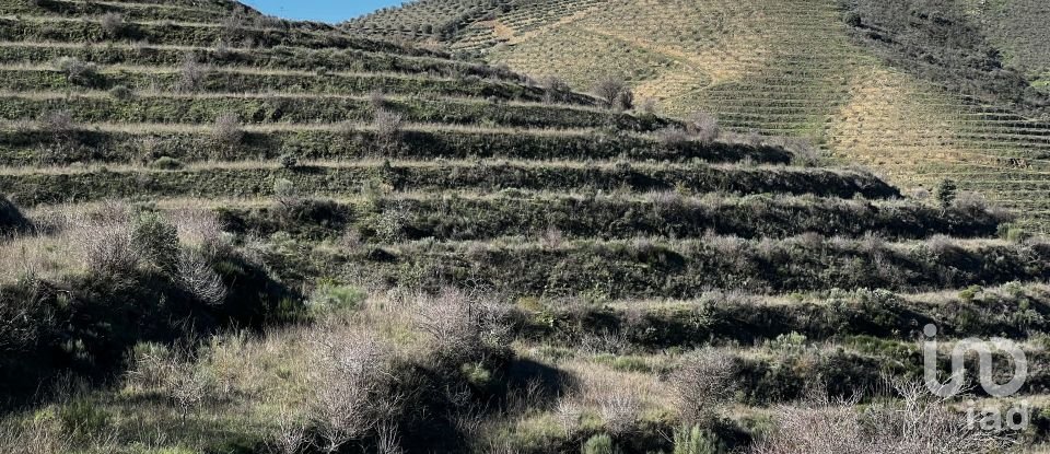 Farm T7 in Freixo de Numão of 1,116 m²