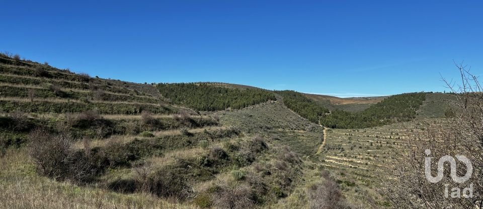 Farm T7 in Freixo de Numão of 1,116 m²