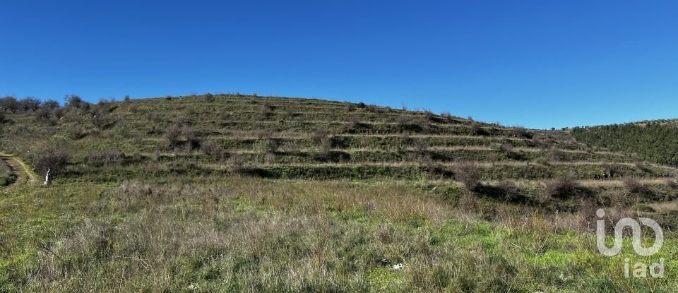 Farm T7 in Freixo de Numão of 1,116 m²