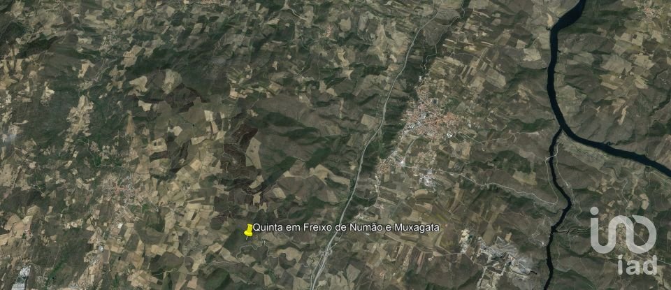 Farm T7 in Freixo de Numão of 1,116 m²