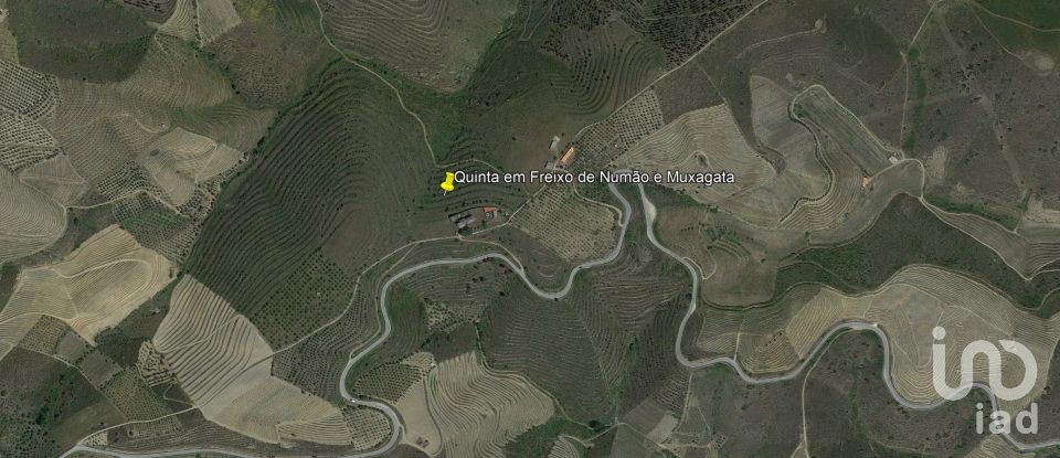 Farm T7 in Freixo de Numão of 1,116 m²