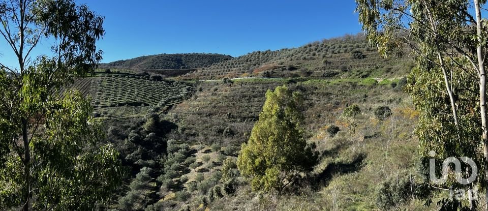 Farm T7 in Freixo de Numão of 1,116 m²