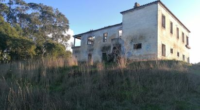 Terrain à Venda do Pinheiro e Santo Estêvão das Galés de 79 061 m²