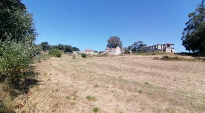 Terrain à Venda do Pinheiro e Santo Estêvão das Galés de 79 061 m²