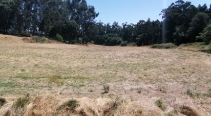 Terrain à Venda do Pinheiro e Santo Estêvão das Galés de 79 061 m²