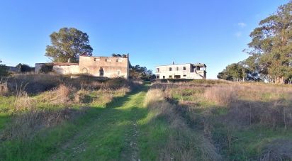 Terrain à Venda do Pinheiro e Santo Estêvão das Galés de 79 061 m²