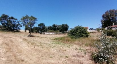 Terrain à Venda do Pinheiro e Santo Estêvão das Galés de 79 061 m²
