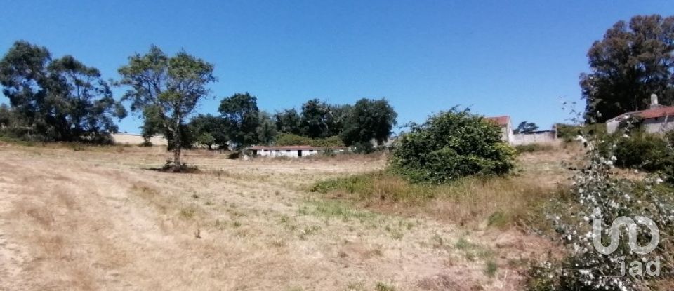 Terrain à Venda do Pinheiro e Santo Estêvão das Galés de 79 061 m²