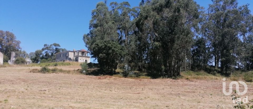 Terreno em Venda do Pinheiro e Santo Estêvão das Galés de 79 061 m²
