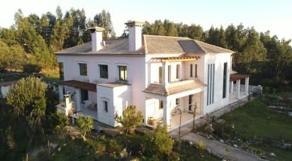 Ferme T6 à Rio de Couros e Casal dos Bernardos de 1 048 m²