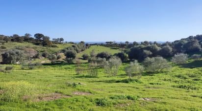 Maison T0 à Monsaraz de 185 m²