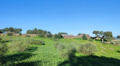 Maison T0 à Monsaraz de 185 m²