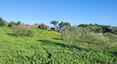 Maison T0 à Monsaraz de 185 m²