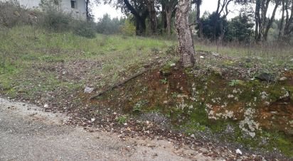 Terrain à Pedrógão Grande de 900 m²