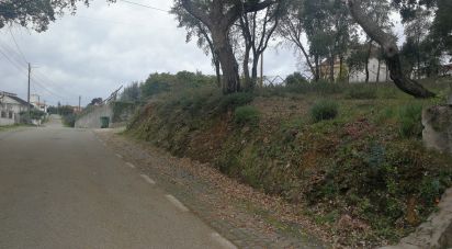 Terrain à Pedrógão Grande de 900 m²