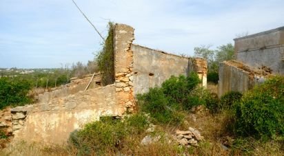Terrain à Santa Bárbara de Nexe de 19 040 m²